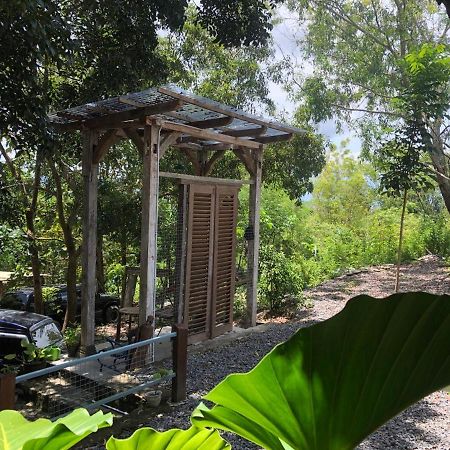 Omah Cantrik, Ethnic Java House With Nature View Jarakan Exterior photo